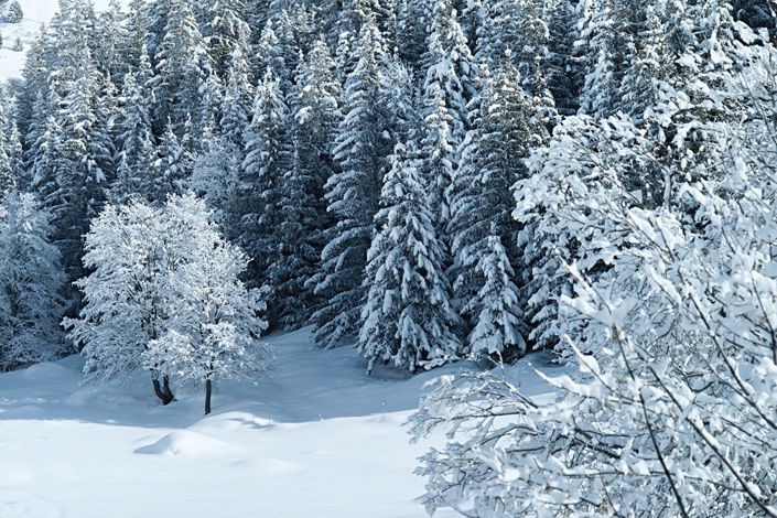 Image No.2-7 Bed House for sale