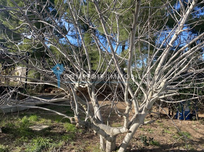 Image No.6-4 Bed House for sale