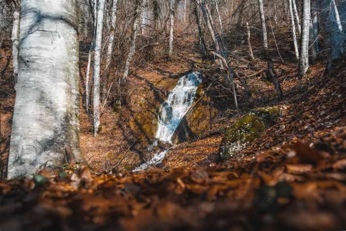 Image No.16-Maison de 8 chambres à vendre à Verchaix