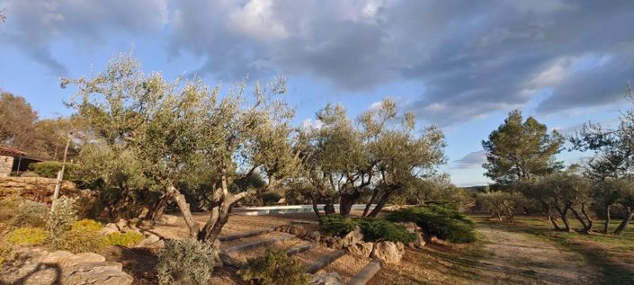 Image No.25-4 Bed House for sale