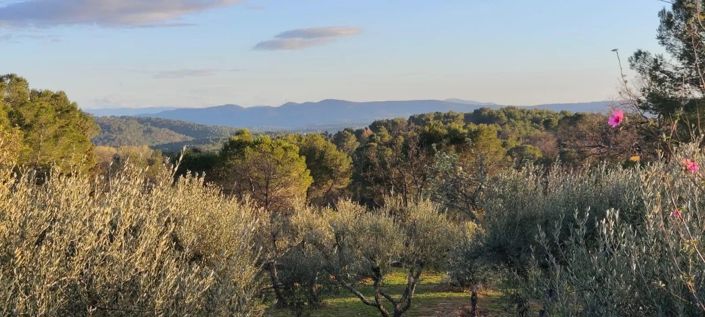 Image No.4-4 Bed House for sale