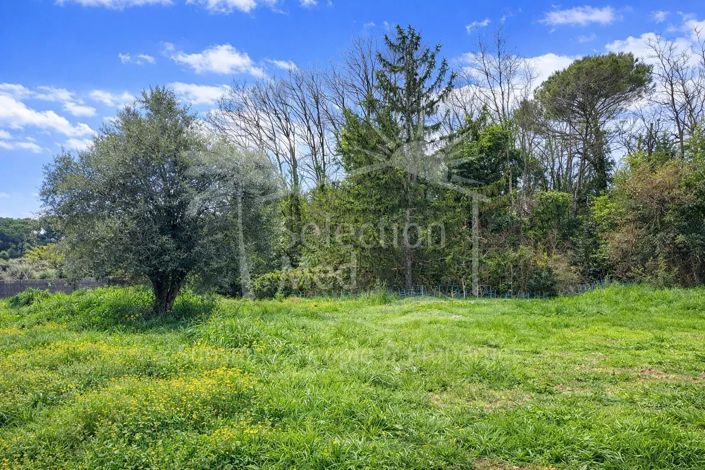 Image No.2-House for sale