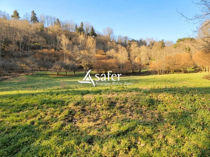 Image No.21-3 Bed House for sale