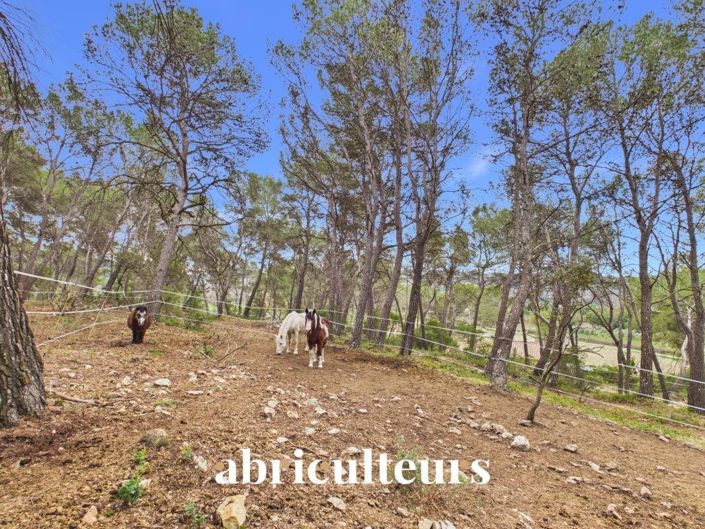 Image No.22-Maison de 2 chambres à vendre à Rognes