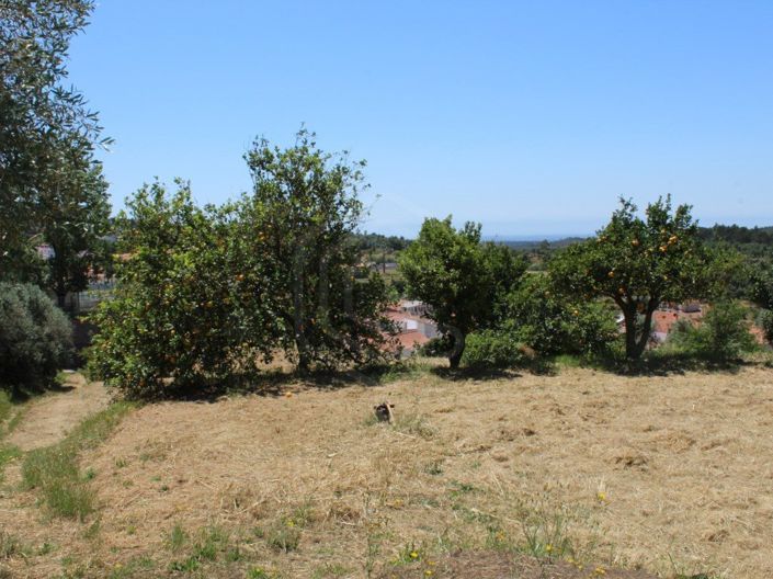 Image No.10-2 Bed House for sale