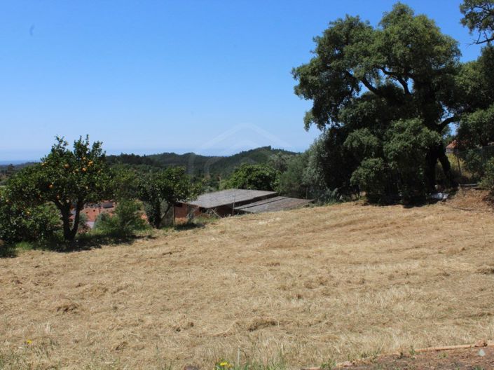 Image No.2-2 Bed House for sale