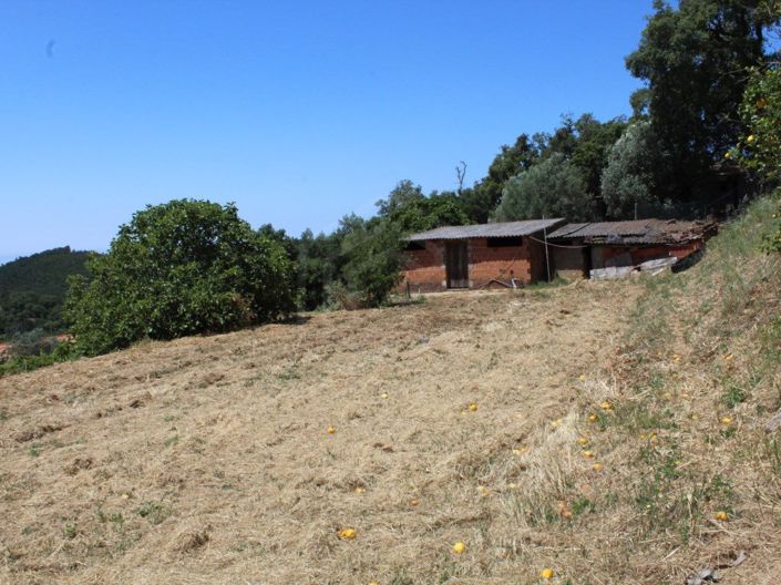 Image No.21-2 Bed House for sale