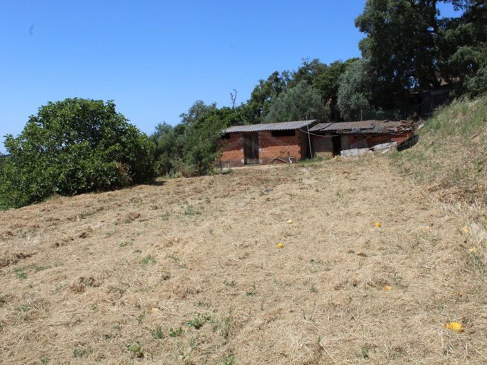 Image No.25-2 Bed House for sale