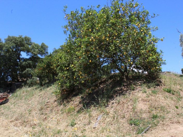 Image No.32-2 Bed House for sale