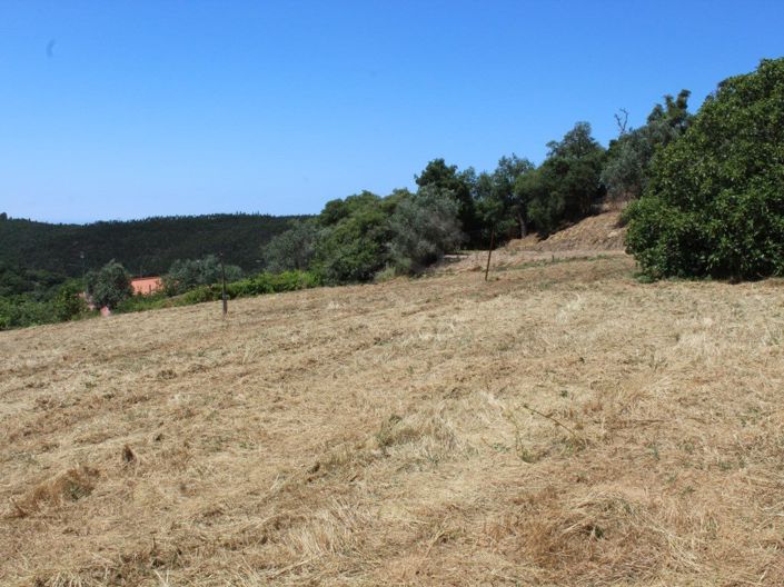 Image No.33-2 Bed House for sale