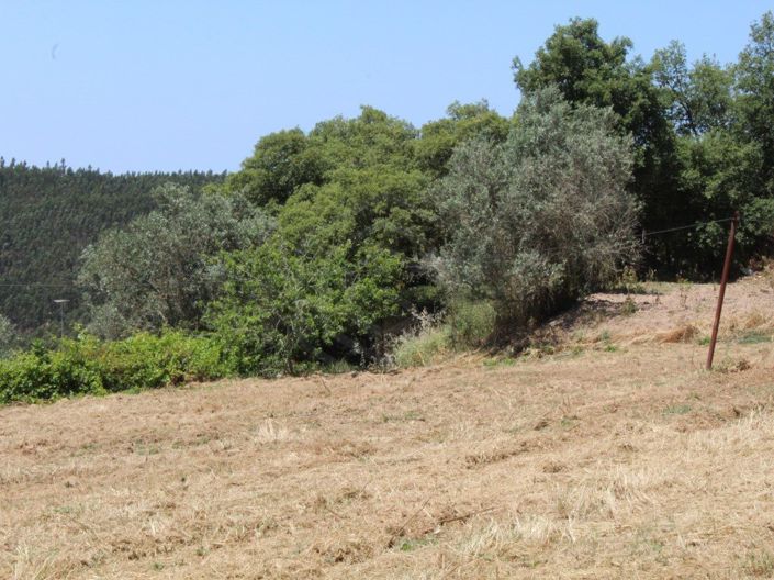 Image No.34-2 Bed House for sale