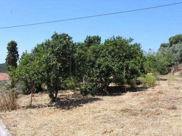 Image No.37-2 Bed House for sale