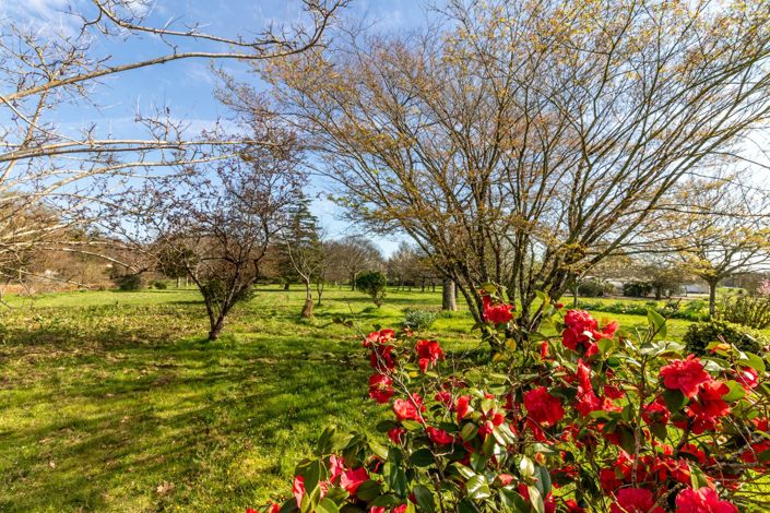 Image No.3-Maison de 6 chambres à vendre à Charente-Maritime