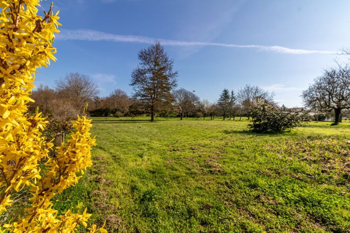 Image No.4-Maison de 6 chambres à vendre à Charente-Maritime