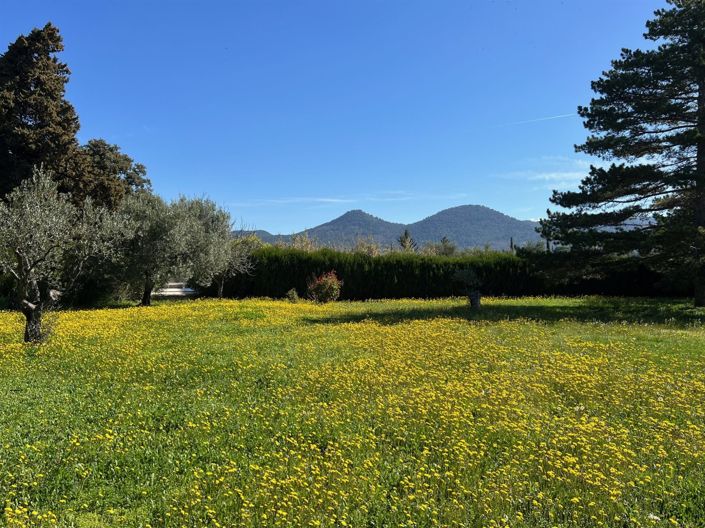 Image No.3-6 Bed House for sale