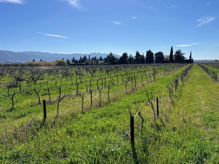 Image No.7-6 Bed House for sale