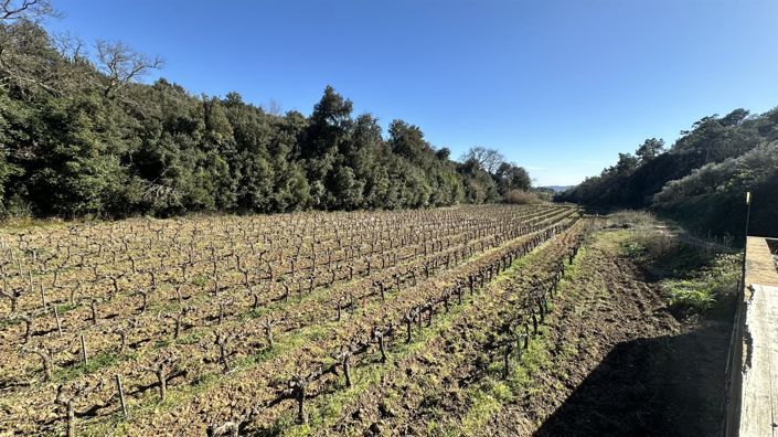 Image No.9-8 Bed House for sale