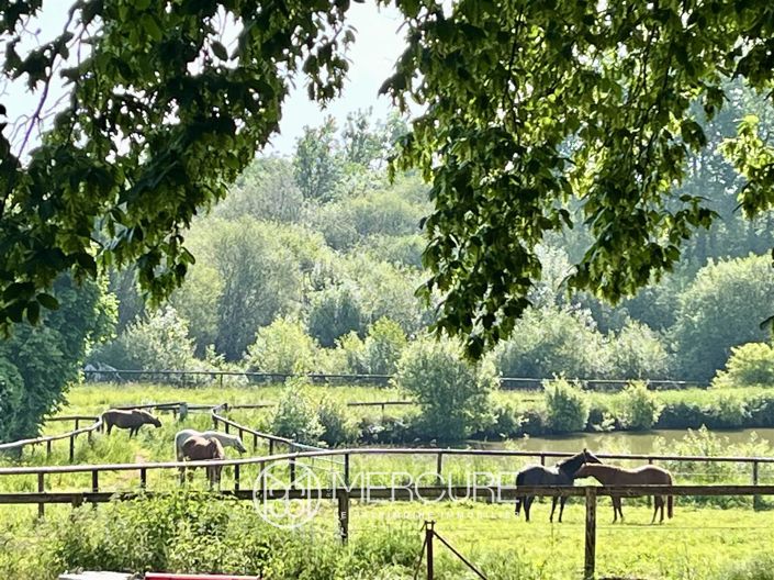 Image No.4-Maison de 12 chambres à vendre à Argentan