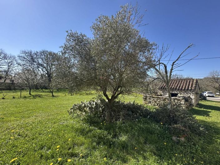 Image No.8-Maison de 4 chambres à vendre à Lot