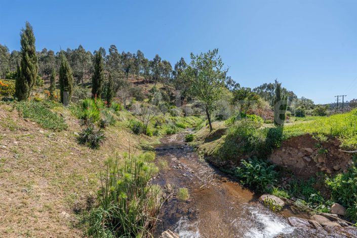 Image No.39-Maison de 3 chambres à vendre à Monchique
