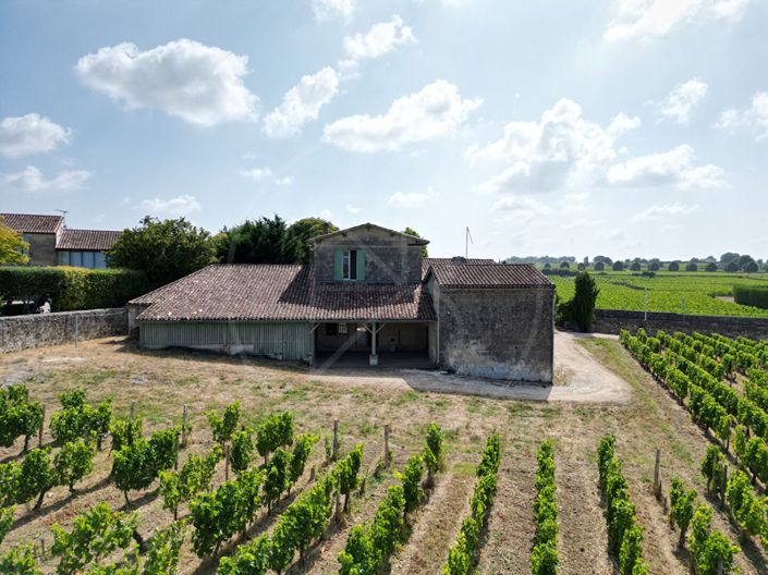 Image No.3-Maison de 4 chambres à vendre à Saint-Emilion