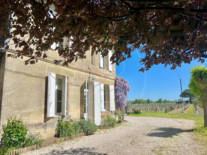 Image No.16-Maison de 2 chambres à vendre à Saint-Emilion
