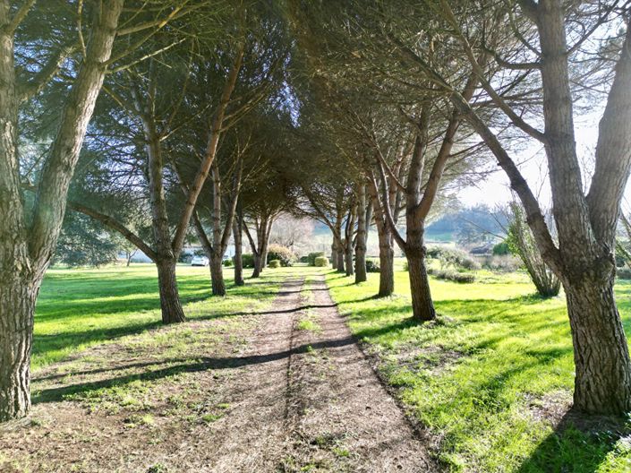 Image No.18-Maison de 7 chambres à vendre à Saint-Antoine-de-Breuilh