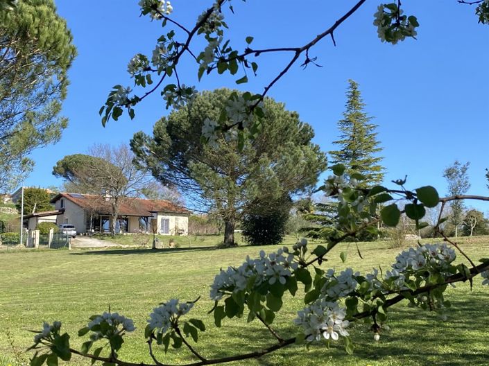 Image No.2-5 Bed House for sale