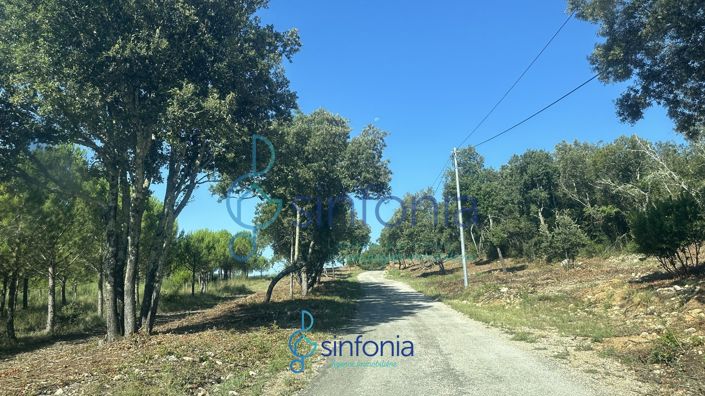 Image No.13-Maison de 3 chambres à vendre à Goudargues