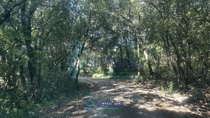 Image No.19-3 Bed House for sale