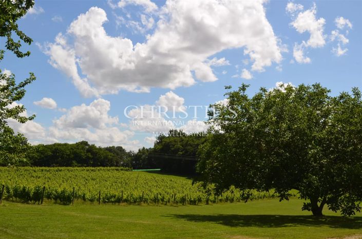 Image No.9-Maison de 8 chambres à vendre à Sainte-Foy-la-Grande