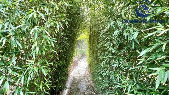 Image No.36-5 Bed House for sale