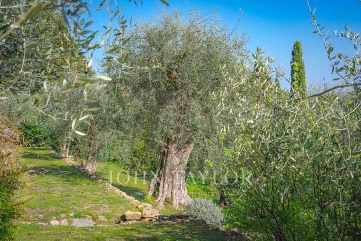 Image No.19-4 Bed House for sale