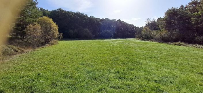 Image No.2-6 Bed House for sale