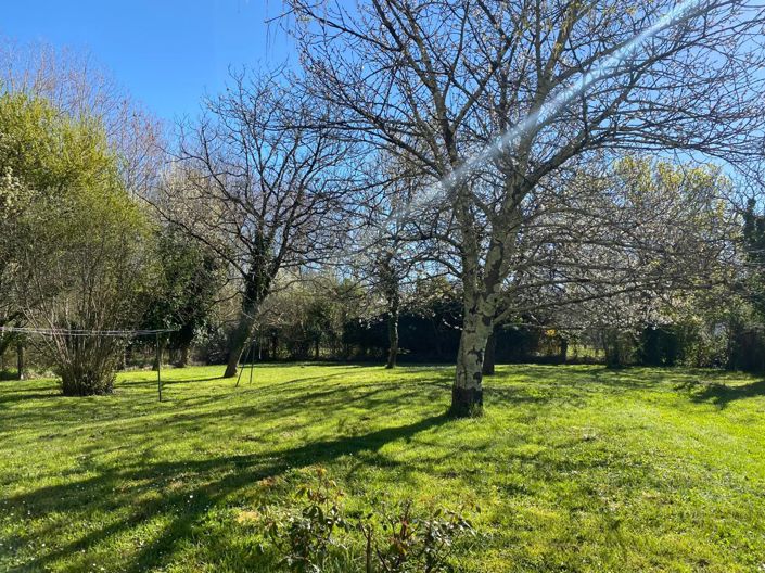 Image No.3-4 Bed House for sale