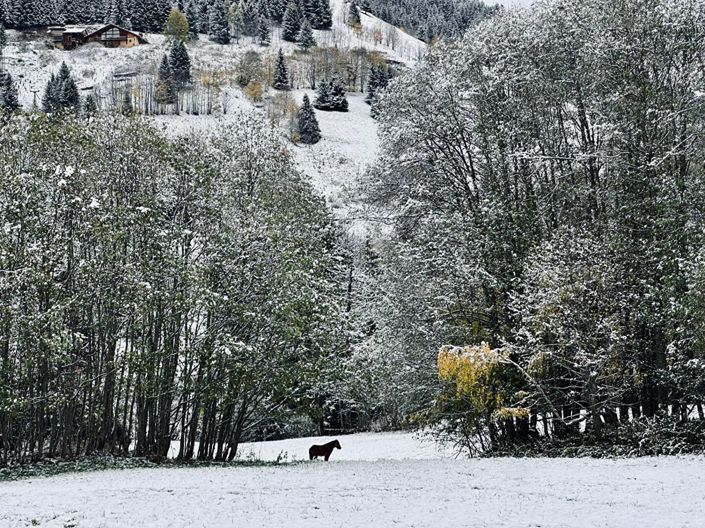 Image No.4-13 Bed House for sale