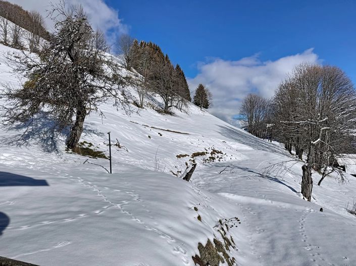 Image No.20-Maison de 4 chambres à vendre à Ugine
