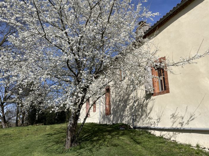 Image No.21-4 Bed House for sale