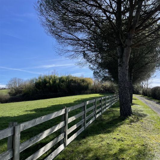 Image No.24-4 Bed House for sale