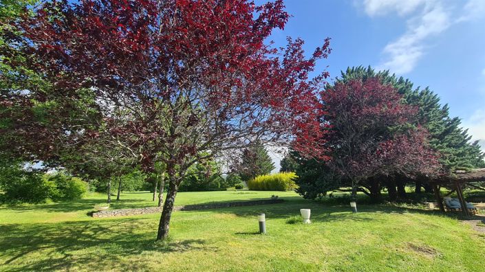 Image No.2-House for sale