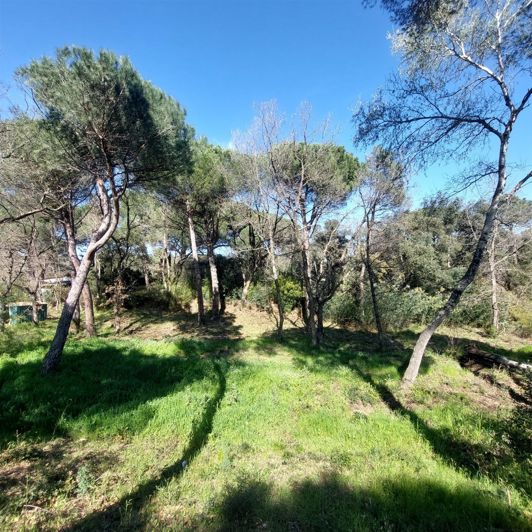 Image No.15-Maison de 4 chambres à vendre à Vidauban