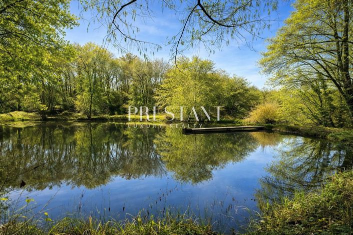 Image No.8-13 Bed Property for sale