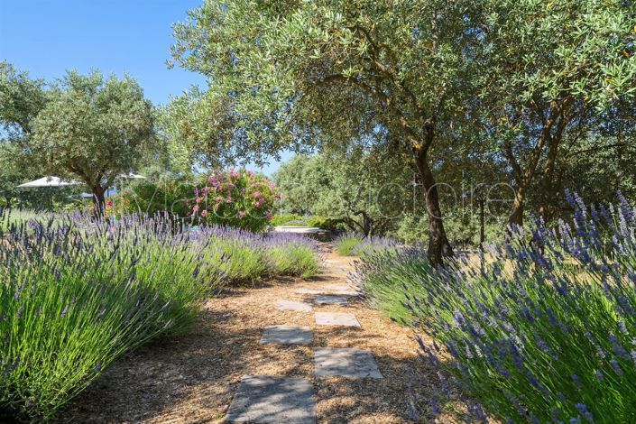 Image No.18-Maison de 5 chambres à vendre à Gordes
