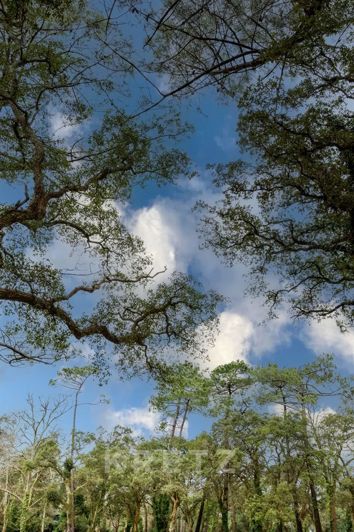 Image No.3-8 Bed House for sale