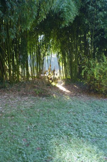 Image No.8-3 Bed House for sale