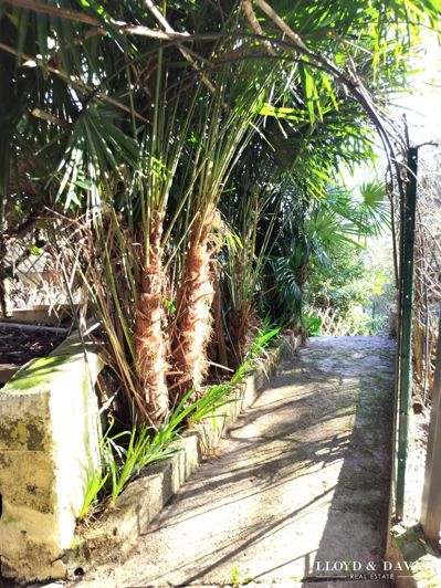 Image No.15-3 Bed House for sale