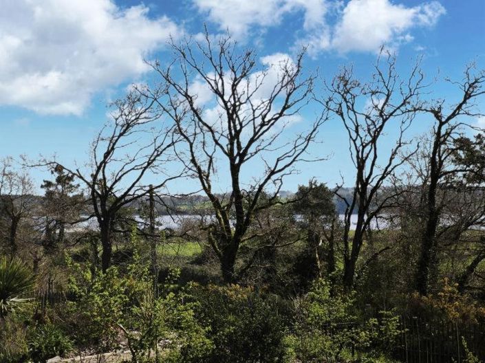 Image No.4-2 Bed House for sale