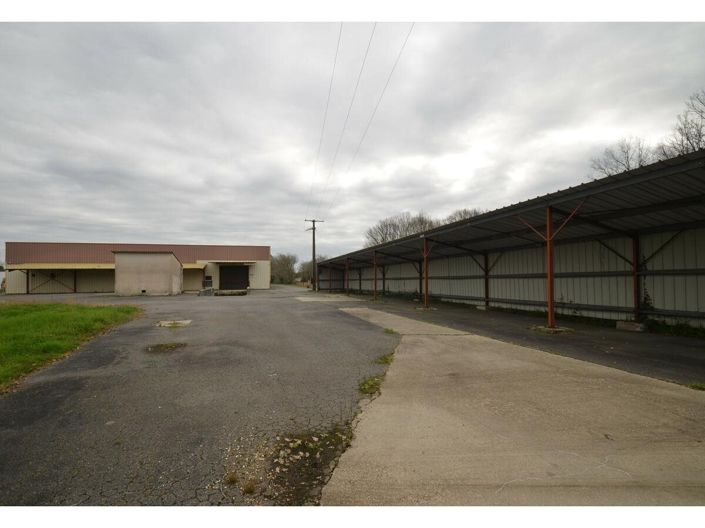 Image No.3-House for sale