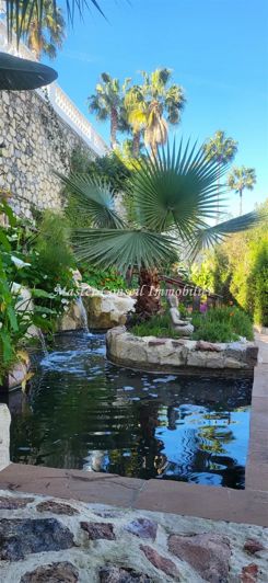 Image No.19-House for sale