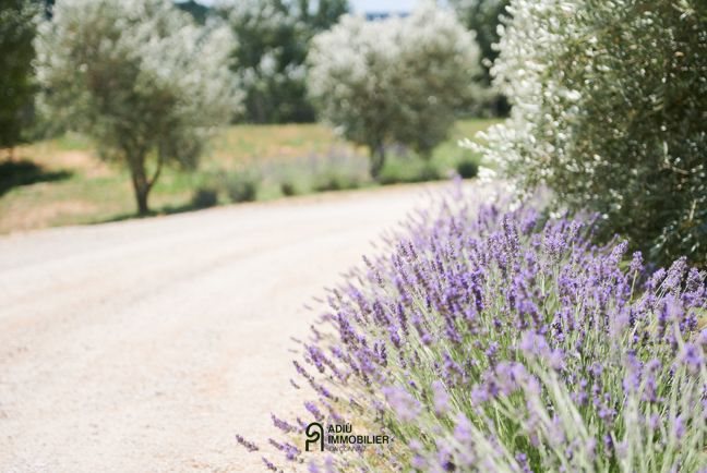 Image No.12-10 Bed House for sale